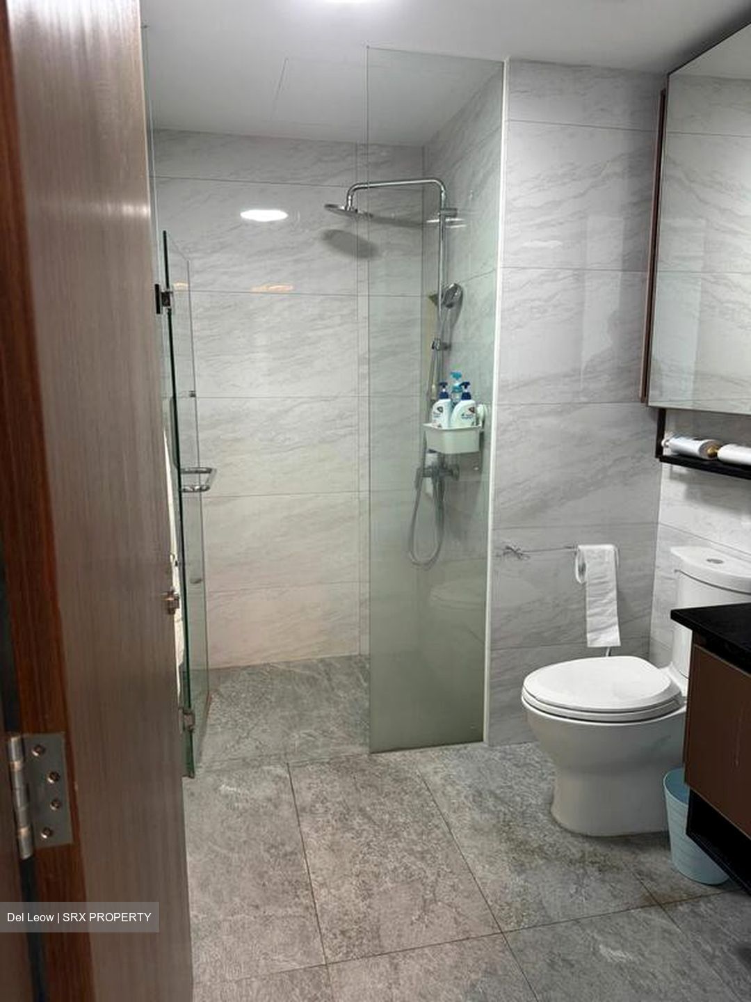 Normanton Park (D5), Apartment #507918721